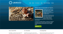 Desktop Screenshot of cobaltmrm.com.au